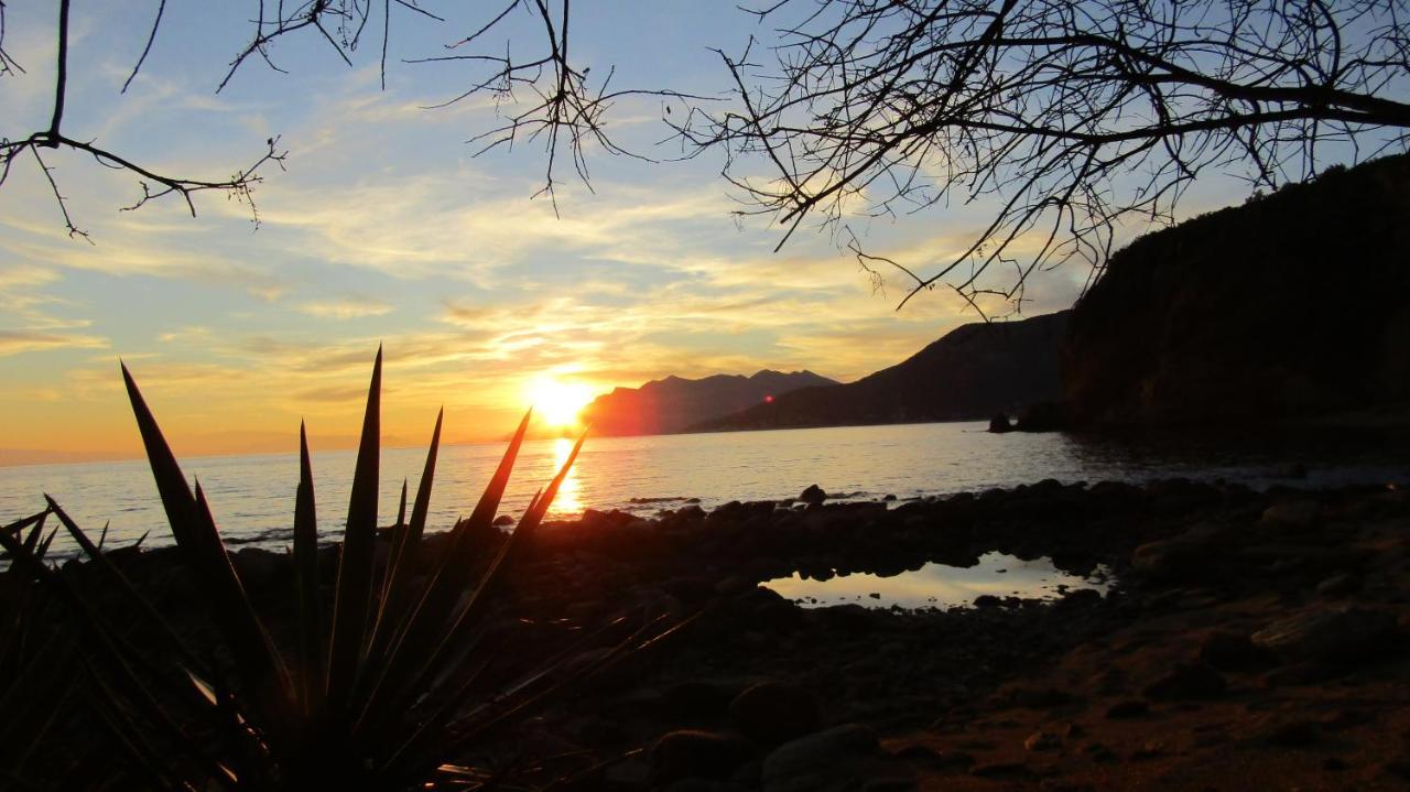 Aurora Daire Platanias  Dış mekan fotoğraf